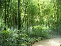 149 BIO PARC DE DOUE LA FONTAINE 3- 2016_000036